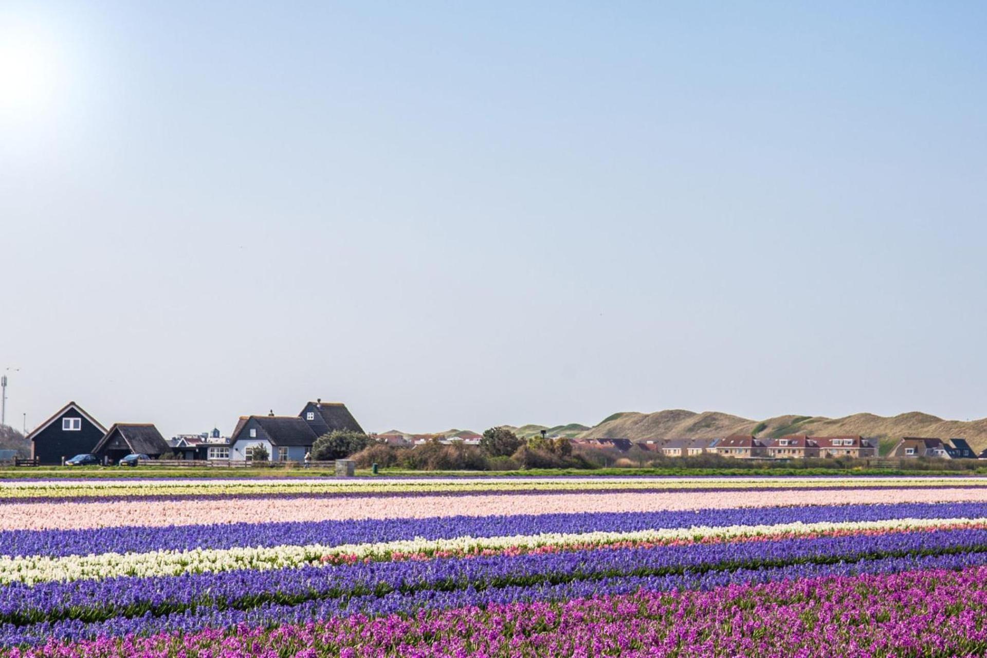 Vakantiehuis Beau - Julianadorp Aan Zee Exterior foto